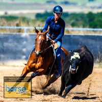 BraidwoodCampdraft2021_2504