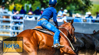 BraidwoodCampdraft2021_2513
