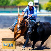 BraidwoodCampdraft2021_2433