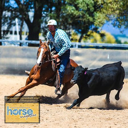 BraidwoodCampdraft2021_3098