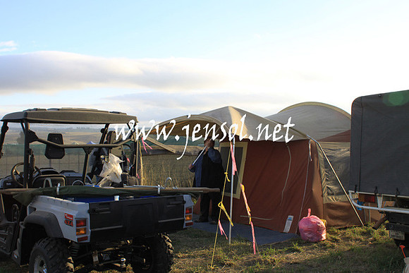 BombalaCampdraft2013_50D_0002