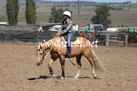 BombalaCampdraft2013Sat_0398