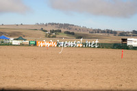 BombalaCampdraft2013Sat_0077