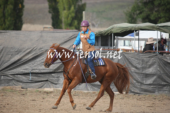BombalaCampdraft2013Sun_0132