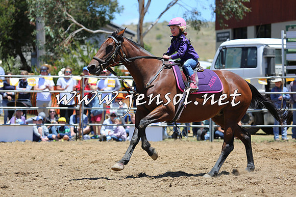 JindabyneRodeo2015_0489