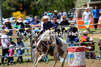 JindabyneRodeo2015_3080