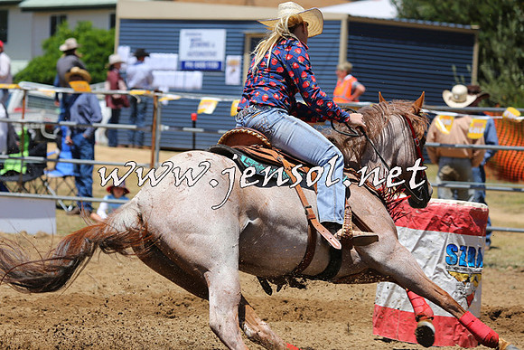 JindabyneRodeo2015_0057
