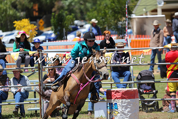 JindabyneRodeo2015_3044