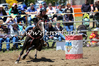 Novice Barrel