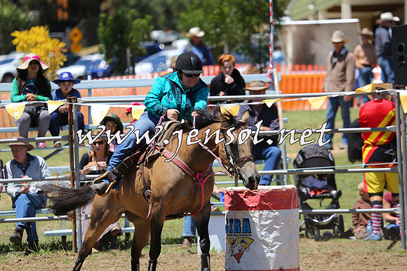 JindabyneRodeo2015_3045