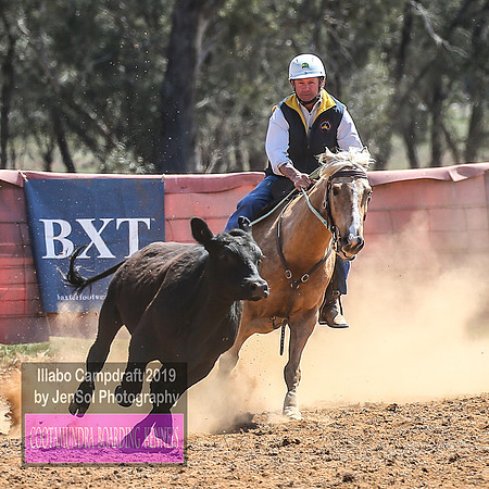 IllaboCampdraft1_1151