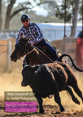 IllaboCampdraft1_0130