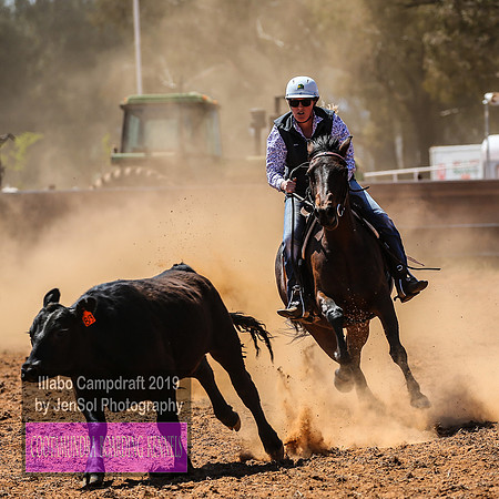IllaboCampdraft1_1405