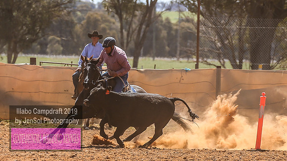 IllaboCampdraft1_1385