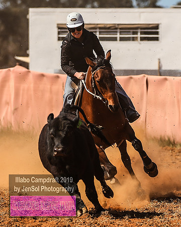 IllaboCampdraft1_1525
