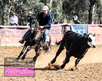 IllaboCampdraft1_0500