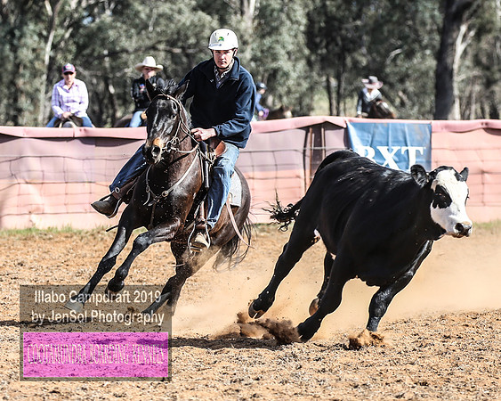 IllaboCampdraft1_0500