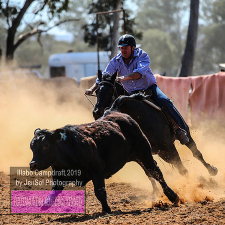 IllaboCampdraft1_1006