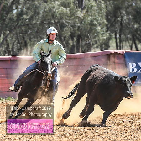 IllaboCampdraft1_1131