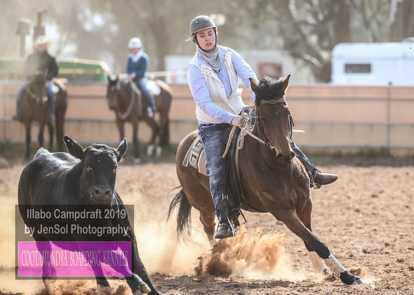 IllaboCampdraft1_0617