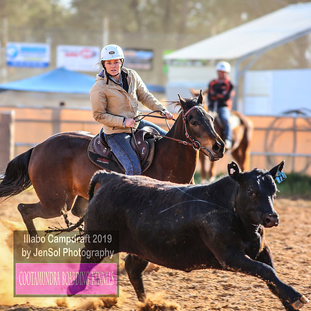 IllaboCampdraft1_0108
