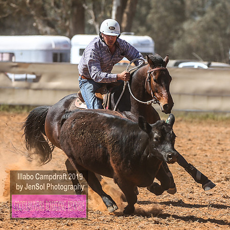 IllaboCampdraft1_1515