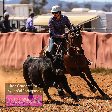 IllaboCampdraft1_1174