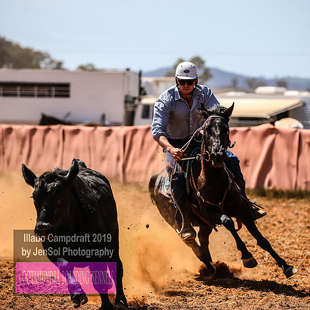 IllaboCampdraft1_1119