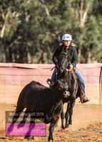 IllaboCampdraft1_0034
