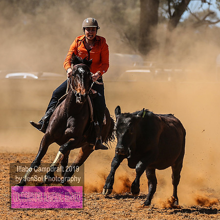 IllaboCampdraft1_1466