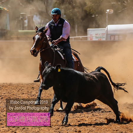 IllaboCampdraft1_1393