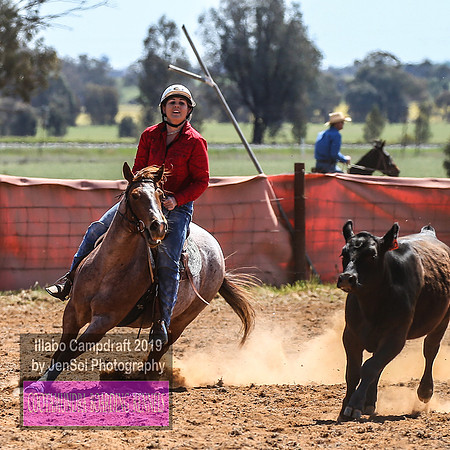 IllaboCampdraft1_1139