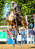 TumbarumbaRodeo2024_2841