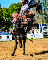 TumbarumbaRodeo2024_2431