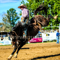TumbarumbaRodeo2024_2375