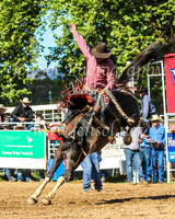 TumbarumbaRodeo2024_2582