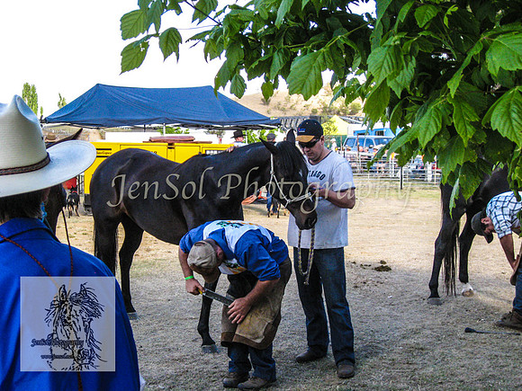 Dalgety_KJS 003
