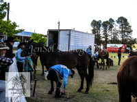 Dalgety_KJS 002