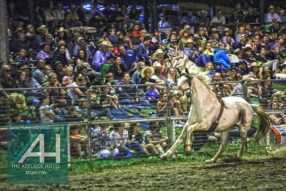 MoruyaRodeo2018_4735