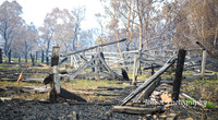 Web_CobargoNYE_0043