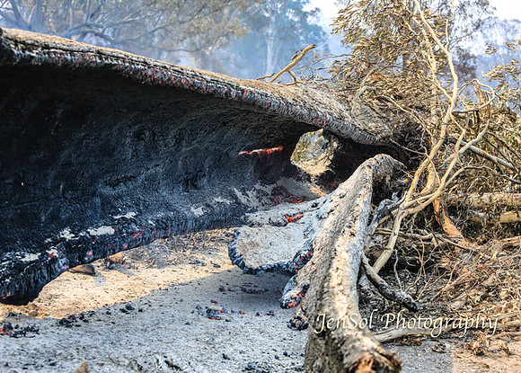 CobargoNYE_0086