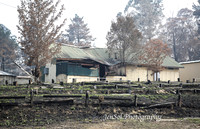 Web_CobargoNYE_0035