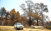 WebCobargoNYE_0038