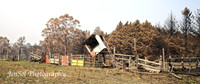 Web_CobargoNYE_0036