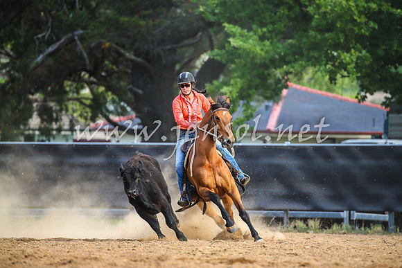 OrangeCampdraft2017_2645
