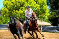 OrangeCampdraft2017_0357