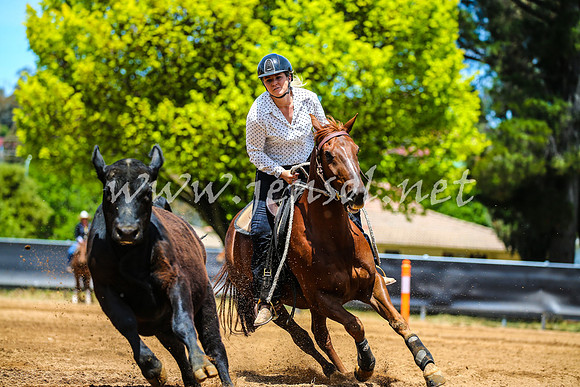 OrangeCampdraft2017_0357