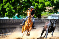 OrangeCampdraft2017_0451