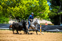 OrangeCampdraft2017_0389