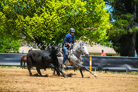 OrangeCampdraft2017_0389